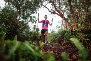 BIB: 
                            <button type="button" onclick="openModal(26209773)" class="btn btn-primary btn-sm float-right btn-popup" data-toggle="modal" data-target=".modal-high-quality">
                        <i class="fas fa-shopping-cart"></i> Add to Cart
                    </button>
                                            <button type="button" onclick="isThisMe(26209773, true)" class="btn btn-success btn-sm float-right btn-popup btn-isme hidden" data-toggle="tooltip" data-placement="bottom" title="นี่คือรูปของคุณใช่ไหม คลิกที่นี่เพื่อเอาเข้าอัลบั้ม">
                        <i class="fas fa-plus"></i> Add to album
                    </button>
                    <button type="button" onclick="isThisMe(26209773, false)" class="btn btn-warning btn-sm float-right btn-popup btn-isnotme hidden">
                        <i class="fas fa-ban"></i> Remove from album
                    </button>